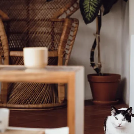 Layer Residences Couette-café