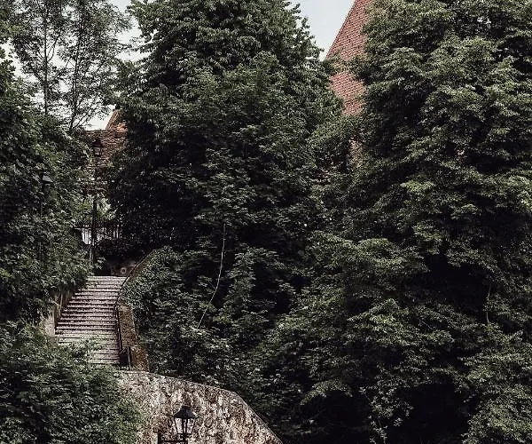 فندق مبيت وإفطار Layer Residences 3*